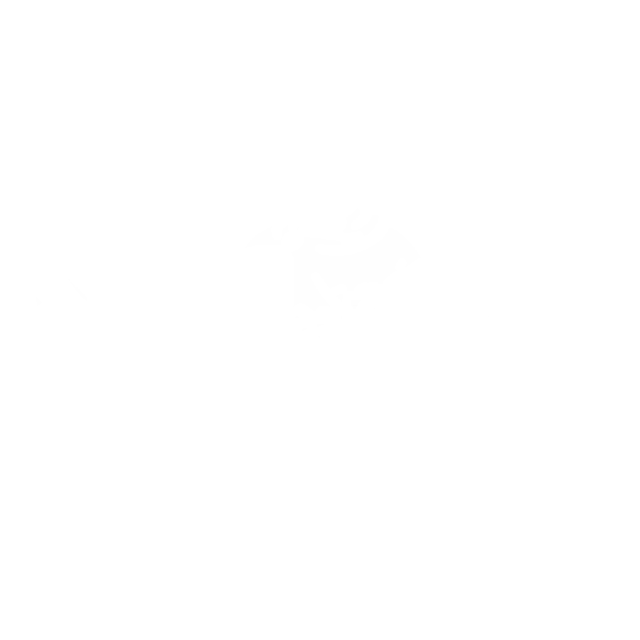 SANCTUS MARTINUS