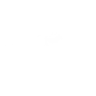 SANCTUS MARTINUS_logo_White_BT_Linia_140 Stowarzyszenie im. św. Marcina z Tours logo białe Linia